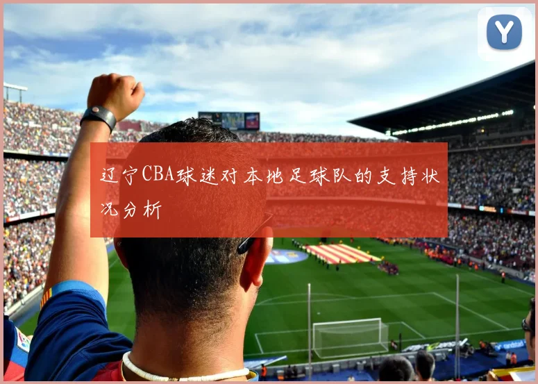 辽宁CBA球迷对本地足球队的支持状况分析