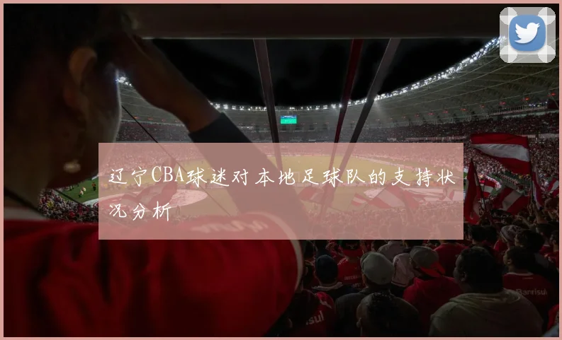 辽宁CBA球迷对本地足球队的支持状况分析